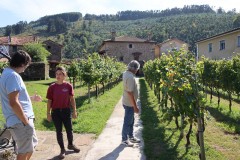 hortanza_slide_018
