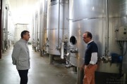 09_2015_ramirez_piscina_bodega_007