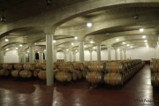 09_2015_ramirez_piscina_bodega_009