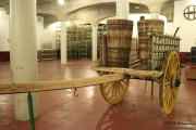 09_2015_ramirez_piscina_crianza_002