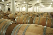 09_2015_ramirez_piscina_crianza_003