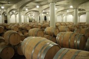 09_2015_ramirez_piscina_crianza_004