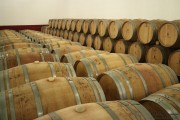 09_2015_ramirez_piscina_crianza_006