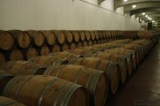 09_2015_ramirez_piscina_crianza_007