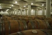 09_2015_ramirez_piscina_crianza_008