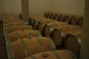 09_2015_ramirez_piscina_crianza_014