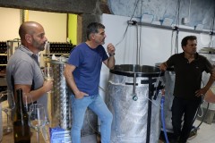 isla_bodega_015
