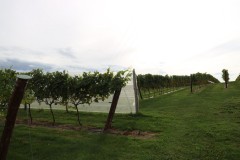 isla_vid_012