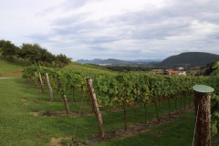 isla_vid_021