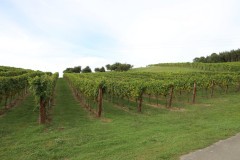 isla_vid_024