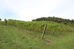 isla_vid_025