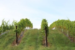 isla_vid_026