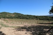 2018_09_camesia_carrusel_001