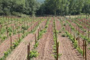 2018_09_camesia_carrusel_018