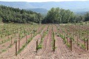 2018_09_camesia_carrusel_019