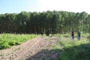 2018_09_camesia_carrusel_027