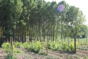 2018_09_camesia_carrusel_033
