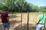 2018_09_camesia_carrusel_034