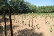 2018_09_camesia_carrusel_046