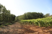 2018_09_camesia_carrusel_066