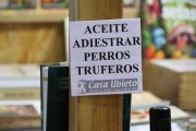 2019_02_soria_feria_043