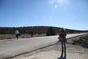 2019_02_soria_perro_001