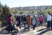 2019_02_soria_perro_004