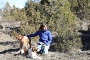 2019_02_soria_perro_005