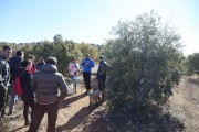2019_02_soria_perro_006