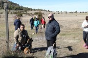 2019_02_soria_perro_008
