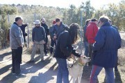2019_02_soria_perro_009