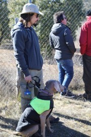 2019_02_soria_perro_010