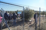 2019_02_soria_perro_011