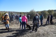 2019_02_soria_perro_012