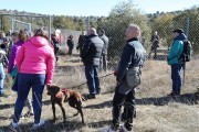 2019_02_soria_perro_013