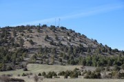 2019_02_soria_perro_014