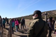 2019_02_soria_perro_016