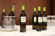 000_cantabria_022