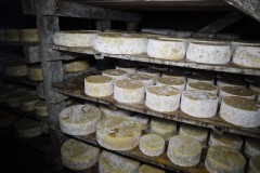 2023_08_cueva_campo_010