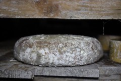 2023_08_cueva_campo_011