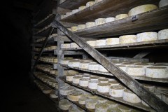 2023_08_cueva_campo_060