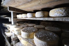 2023_08_cueva_campo_067