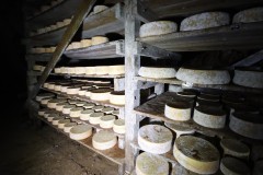 2023_08_cueva_campo_070