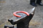 Herrero_IMG_9852