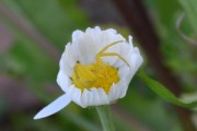 CSC_0177