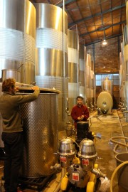 2018_10_raventos_bodega_003