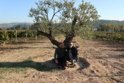 2018_10_raventos_bodega_006