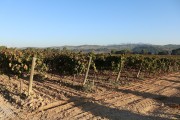 2018_10_raventos_bodega_008