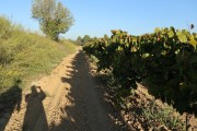2018_10_raventos_bodega_010