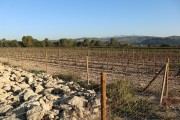 2018_10_raventos_bodega_012